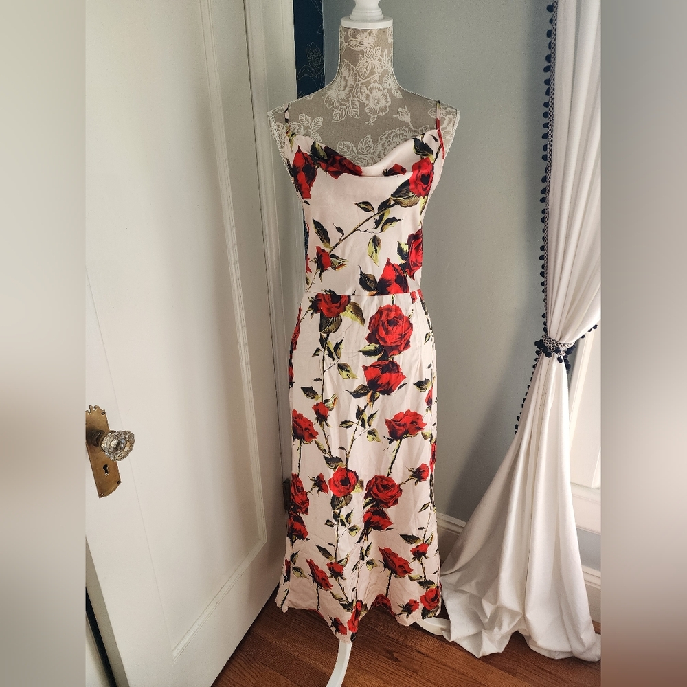 BNWT (2) Retro Dresses by CIDER